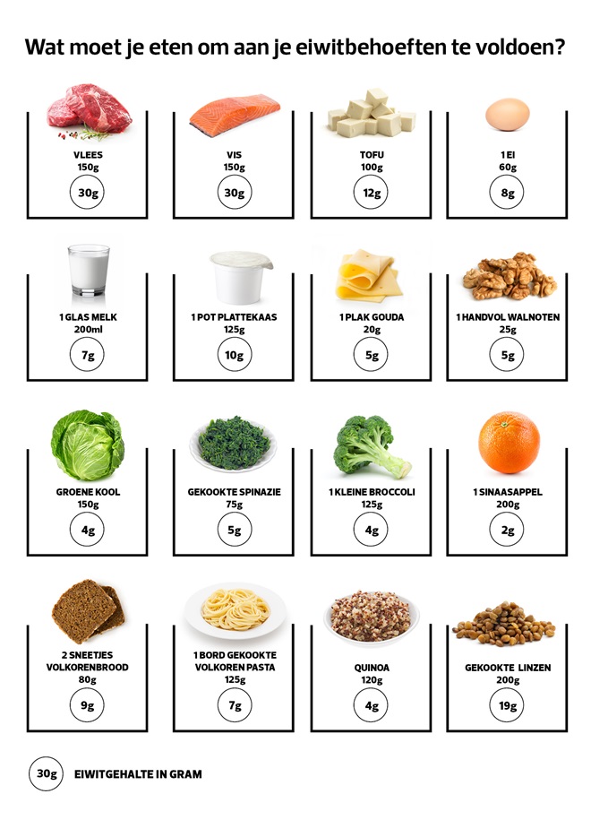 overzicht producten veel eiwitten
